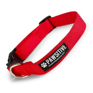 Sustainable Dog Collar